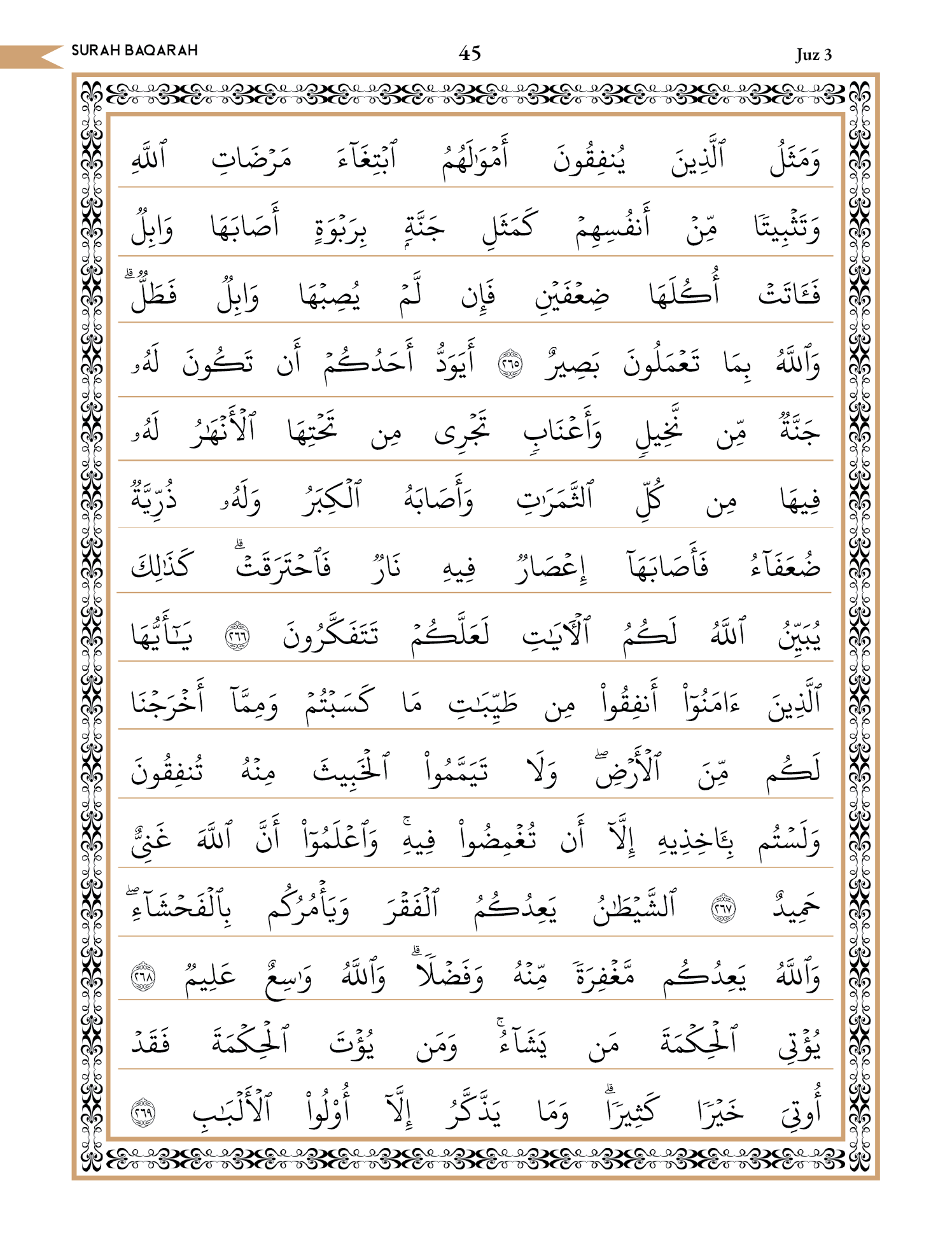 Quran Page 45